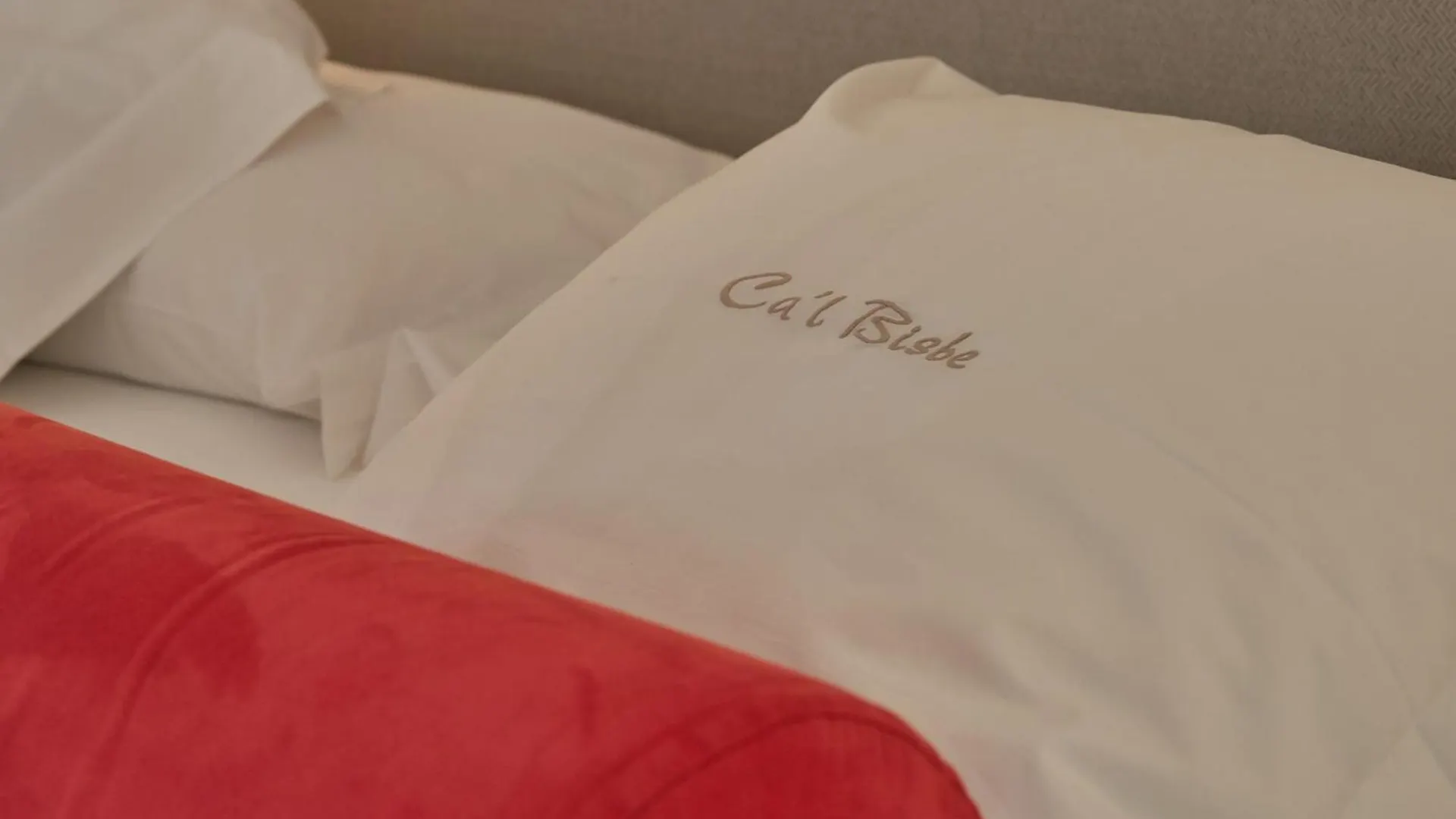Hotel Ca'L Bisbe Soller 4*,